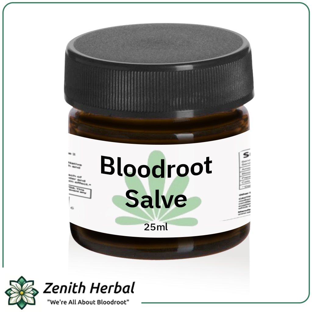 bloodroot salve glass jar