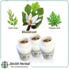 Herbs Capsules